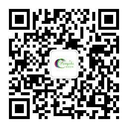 关注k8凯发一触即发智能<br>了解更多实时资讯